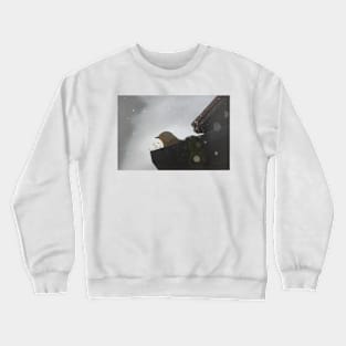 Robin's Bath Time Crewneck Sweatshirt